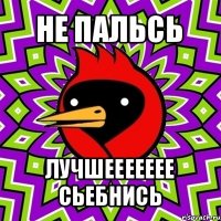 не пальсь лучшеееееее сьебнись