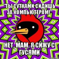 "ты сутками сидишь за компьютером!" нет, мам. я сижу с гусями