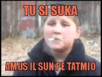 tu si suka amus il sun pe tatmio