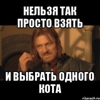 нельзя так просто взять и выбрать одного кота