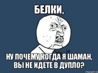 белки, ну почему когда я шаман, вы не идете в дупло?