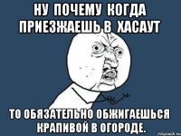 ну почему когда приезжаешь в хасаут то обязательно обжигаешься крапивой в огороде.