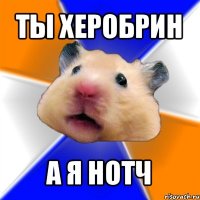 ты херобрин а я нотч