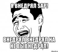 я внедрял sap! внедрял внедрял на не вывнедрял!