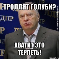 троллят голуби? хватит это терпеть!