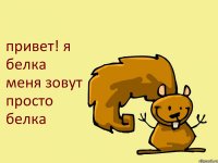 привет! я белка меня зовут просто белка