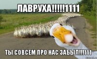 лавруха!!!1111 ты совсем про нас забыл!!!111