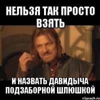 нельзя так просто взять и назвать давидыча подзаборной шлюшкой