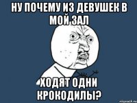 ну почему из девушек в мой зал ходят одни крокодилы?