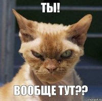 ты! вообще тут??