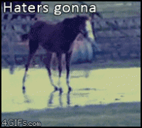 Hater gonna... ...whoa shhhh okay okay whe're oh fuck.. hate, гифки