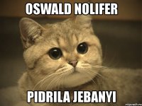 oswald nolifer pidrila jebanyi