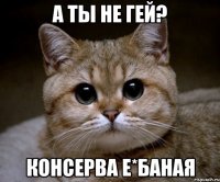 а ты не гей? консерва е*баная