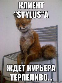 клиент "stylus"а ждет курьера терпеливо...