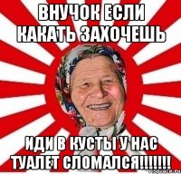 внучок если какать захочешь иди в кусты у нас туалет сломался!!!