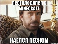 проголодался в minecraft наелся песком