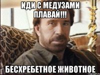 иди с медузами плавай!!! бесхребетное животное