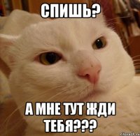 спишь? а мне тут жди тебя???