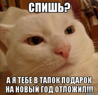 спишь? а я тебе в тапок подарок на новый год отложил!!!