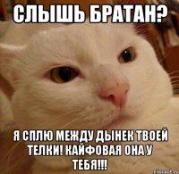 слышь братан? я сплю между дынек твоей телки! кайфовая она у тебя!!!