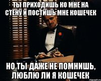 ты приходишь ко мне на стену и постишь мне кошечек но ты даже не помнишь, люблю ли я кошечек