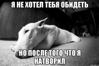 я не хотел тебя обидеть но после того что я натворил