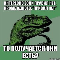 интересно если правил нет, кроме одного:"привил нет" то получается они есть?