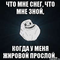 что мне снег, что мне зной, когда у меня жировой прослой..