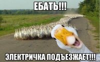 ебать!!! электричка подъезжает!!!