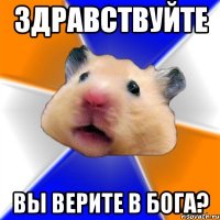 здравствуйте вы верите в бога?