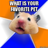 what is your favorite pet 