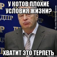 у котов плохие условия жизни? хватит это терпеть