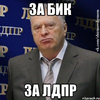 за бик за лдпр