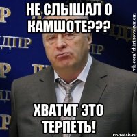 не слышал о камшоте??? хватит это терпеть!