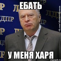 ебать у меня харя