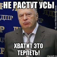 не растут усы хватит это терпеть!