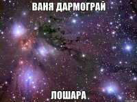 ваня дармограй лошара