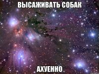 высаживать собак ахуенно