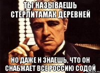 ты называешь стерлитамак деревней но даже н знаешь, что он снабжает все россию содой