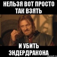 нельзя вот просто так взять и убить эндердракона