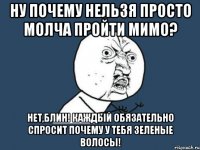 ну почему нельзя просто молча пройти мимо? нет,блин! каждый обязательно спросит почему у тебя зеленые волосы!