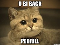 u bi back pedrill