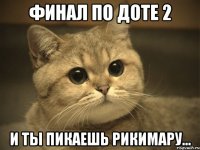 финал по доте 2 и ты пикаешь рикимару...