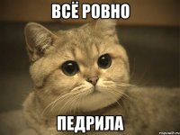 всё ровно педрила