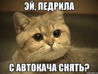 эй, педрила с автокача снять?