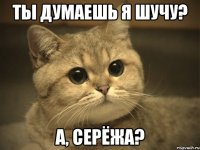 ты думаешь я шучу? а, серёжа?