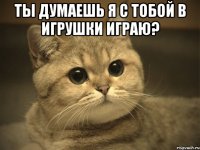 ты думаешь я с тобой в игрушки играю? 