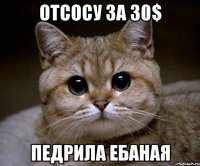 отсосу за 30$ педрила ебаная