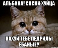 альбина! сосни хуйца нахуй тебе педрилы ебаные?