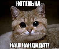 котенька - наш кандидат!